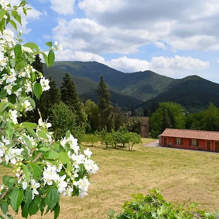 Rinascimento Depandance Lucques