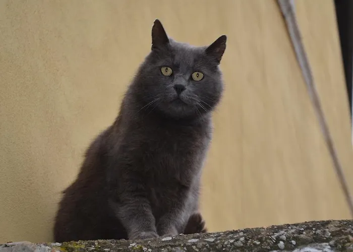 Εξοχικό σπίτι Rinascimento Depandance Λούκα