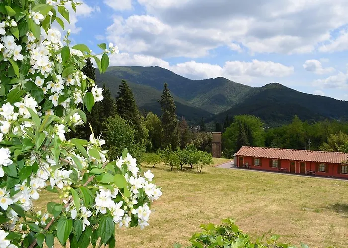 Rinascimento Depandance Λούκα