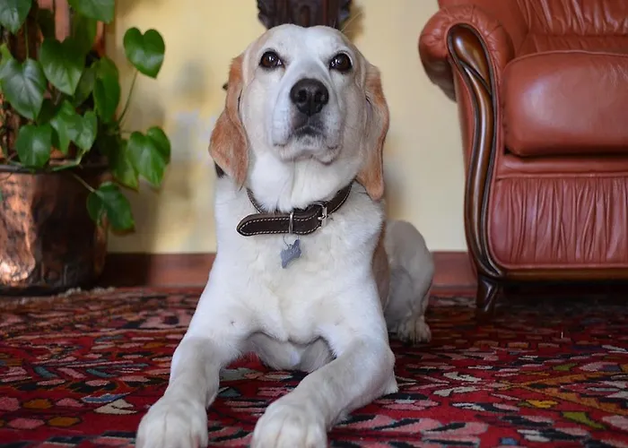 Εξοχικό σπίτι Rinascimento Depandance Λούκα