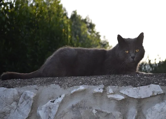 Rinascimento Depandance Εξοχικό σπίτι